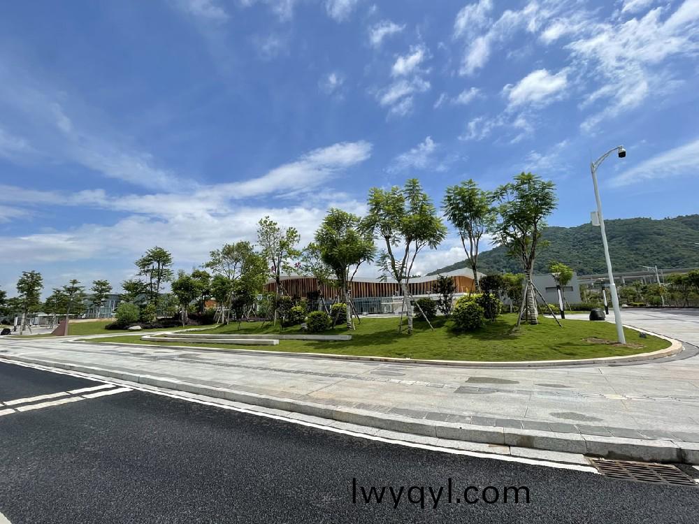 高鐵(tie)站(zhan)綠(lv)化(hua)案(an)例